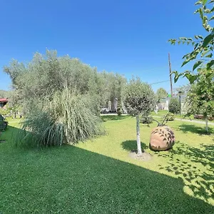 Alexandros Полихроно